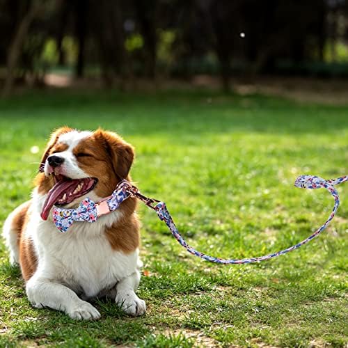 Kız Köpek Tasması ve Tasma Seti, Çiçek Papyon ve Çan ile Metal Toka Köpek Tasması, Küçük Orta Köpekler için Ayarlanabilir