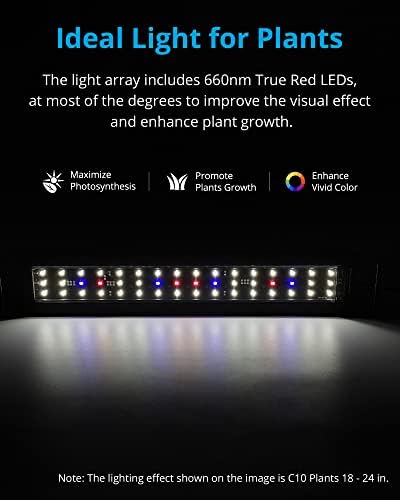 NİCREW C10 Bitkiler tatlısu akvaryum LED ışıkları, Tam spektrum balık tankı ışık LCD zamanlayıcı, Renk Sıcaklığı ayarlanabilir,