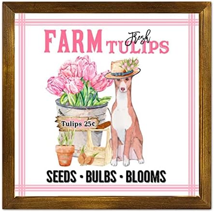 luckluccy Çiftlik Taze Çiçek Pazarı Ahşap Tabelalar Pembe Laleler Springer Spaniel Köpek Çerçeveli İşareti Hayvan