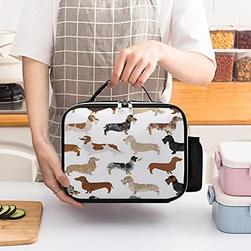 Dachshunds Köpekler Kullanımlık yemek taşıma çantası Yalıtımlı öğle yemeği kutu konteyner Ofis İşleri İçin Piknik
