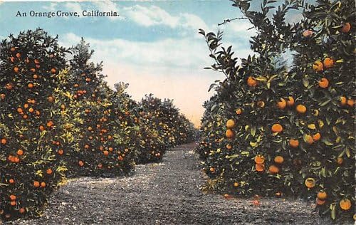 Çeşitli, Kaliforniya Kartpostalı